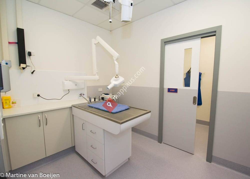 Perth Cat Hospital