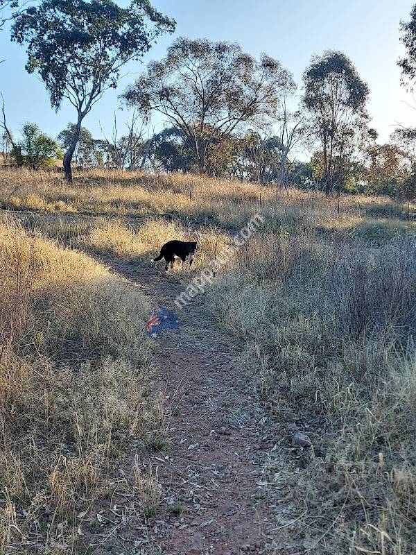 Pet Circle, Eastern Creek