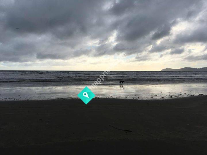 Pet Love Kapiti