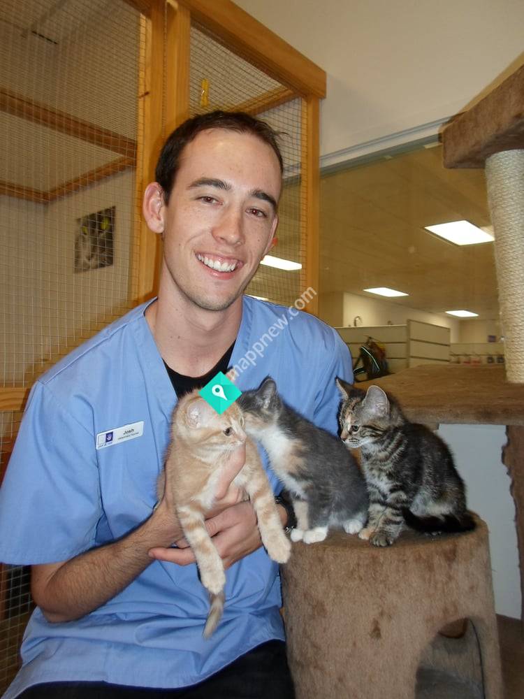 Pet & Vet
