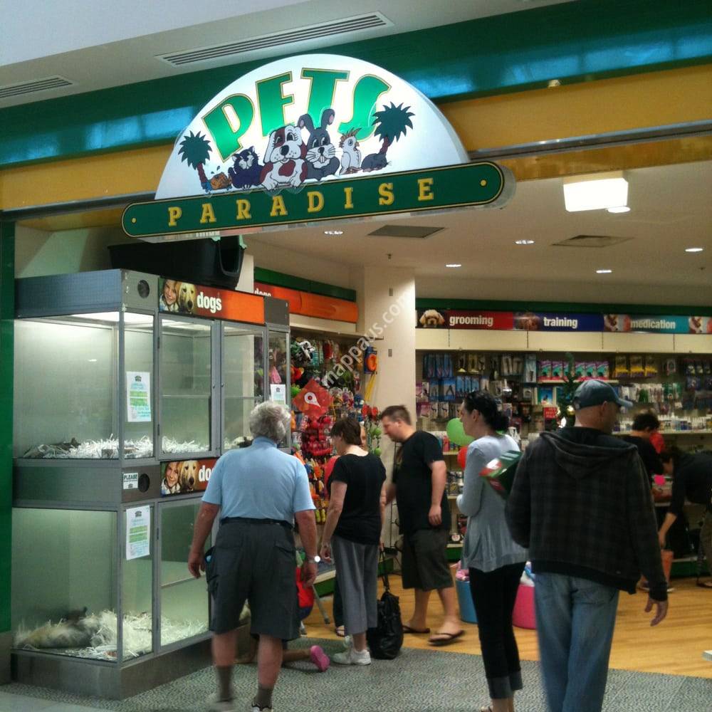 Pets Paradise