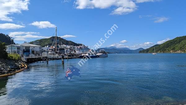 Picton Interislander Vehicle Check-In