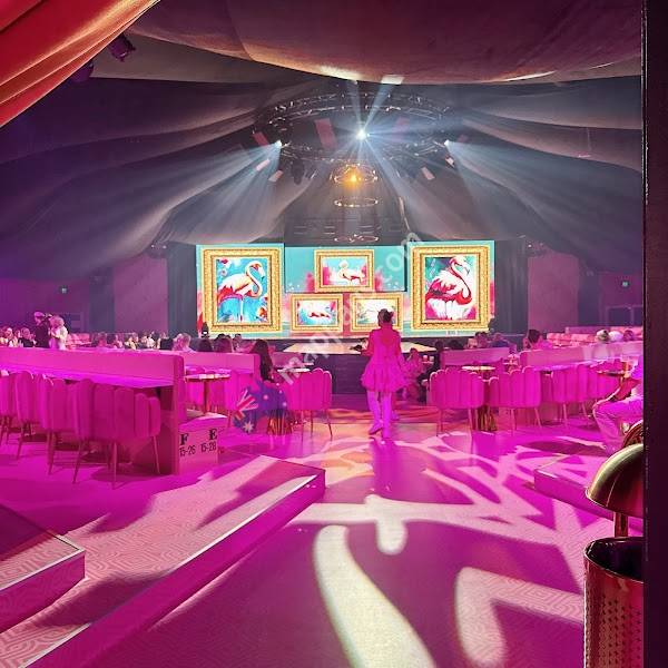 Pink Flamingo Spiegeland Brisbane