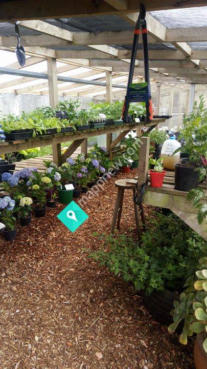 Poppa's Garden / Nursery