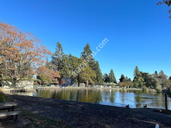 Public Toilets - Henley Lake