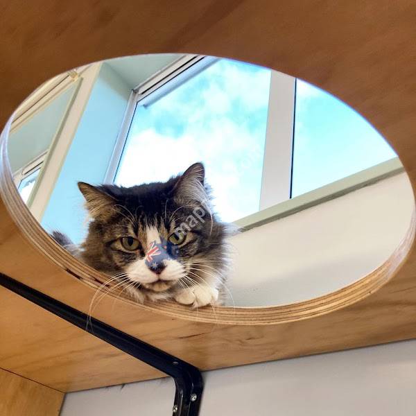 Purrville Cat Hotel