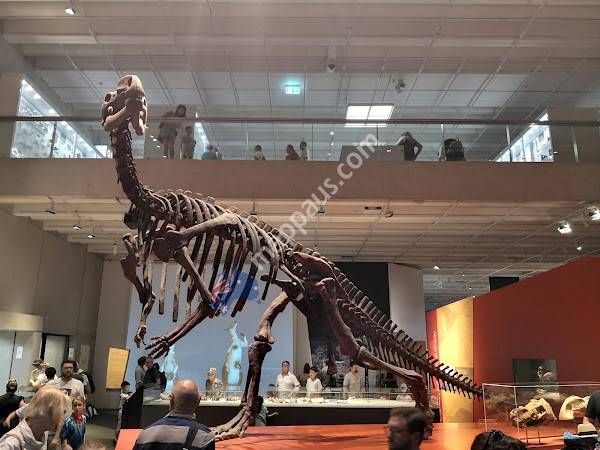 Queensland Museum Kurilpa | Brisbane