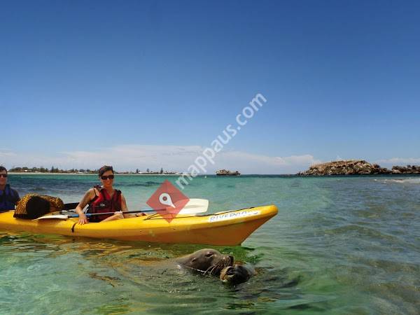 Rivergods Kayak Adventures