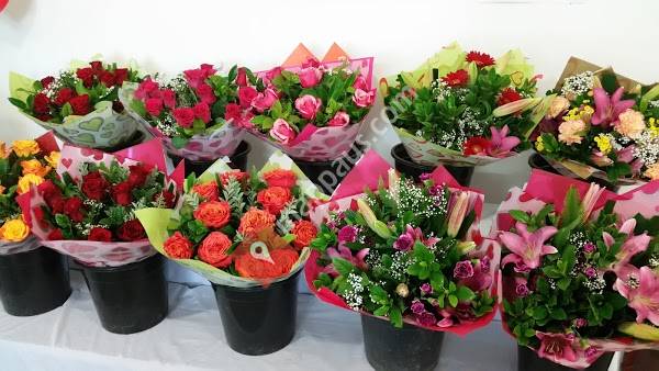 Saranah's Flowers