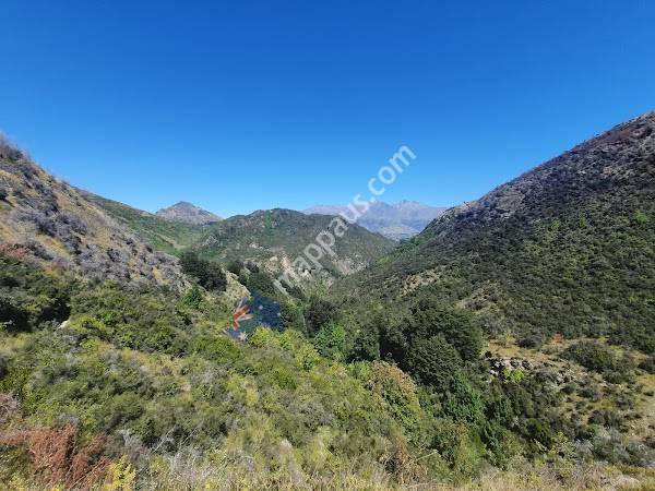 Sawpit Gully Track / Arrow River Trail / Motatapu Track