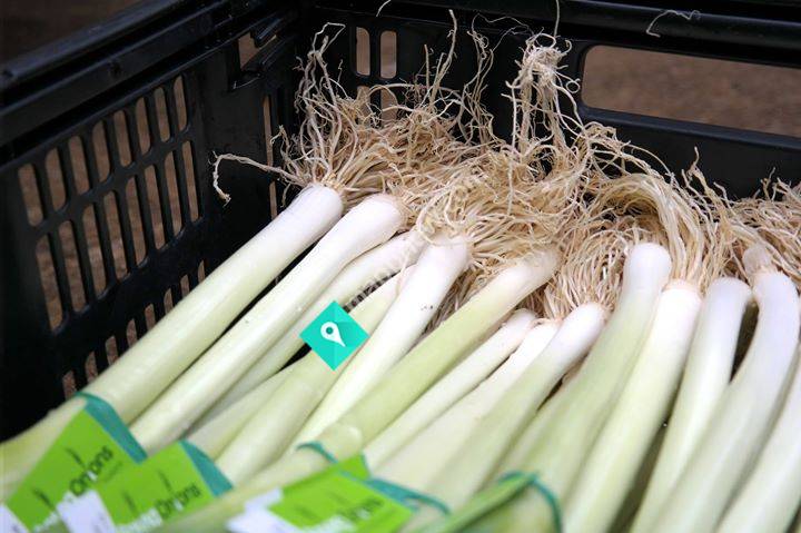 SKL Produce