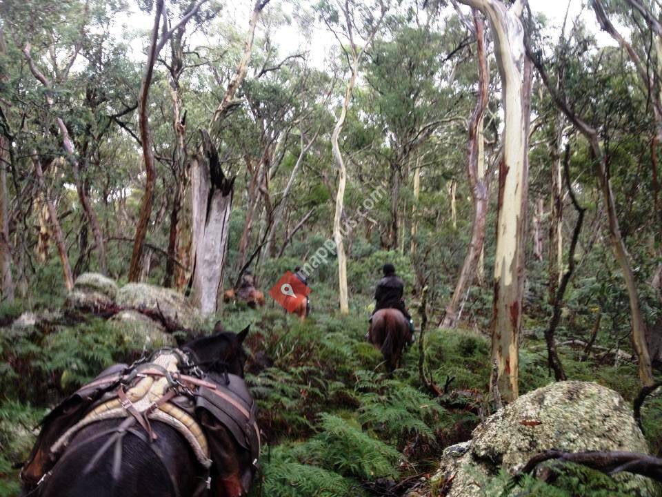 Snowy River Horseback Adventure