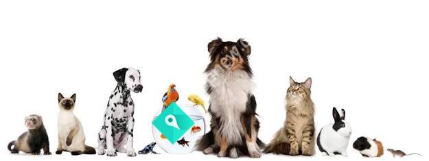 Spices Pet Care
