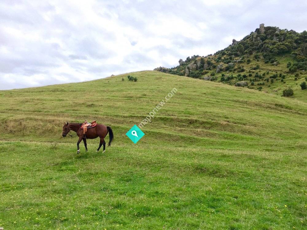 Stone Hill Horse Trek