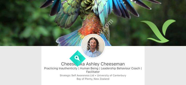 Strategic Self Awareness