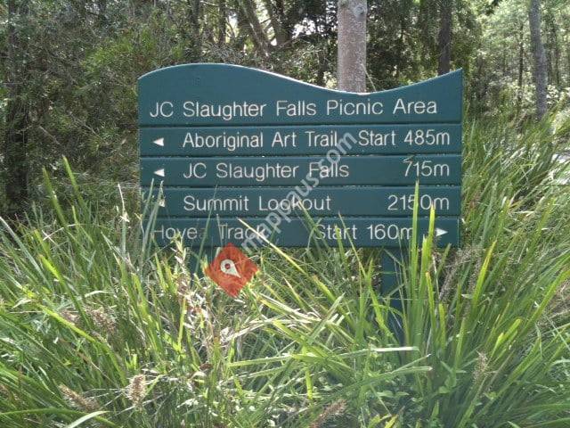 Summit Track at Mt Coot-tha