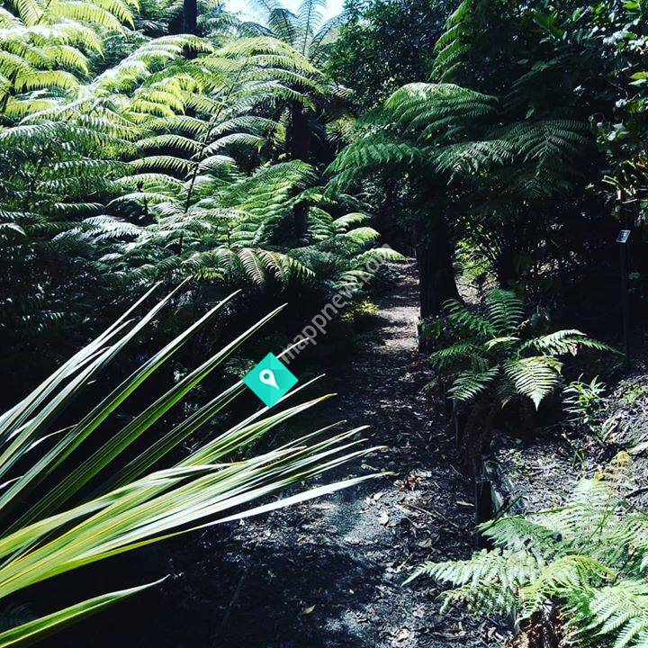 Suzy Walsh - Naturopath