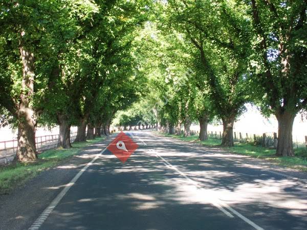 Sweeney Estate Agents