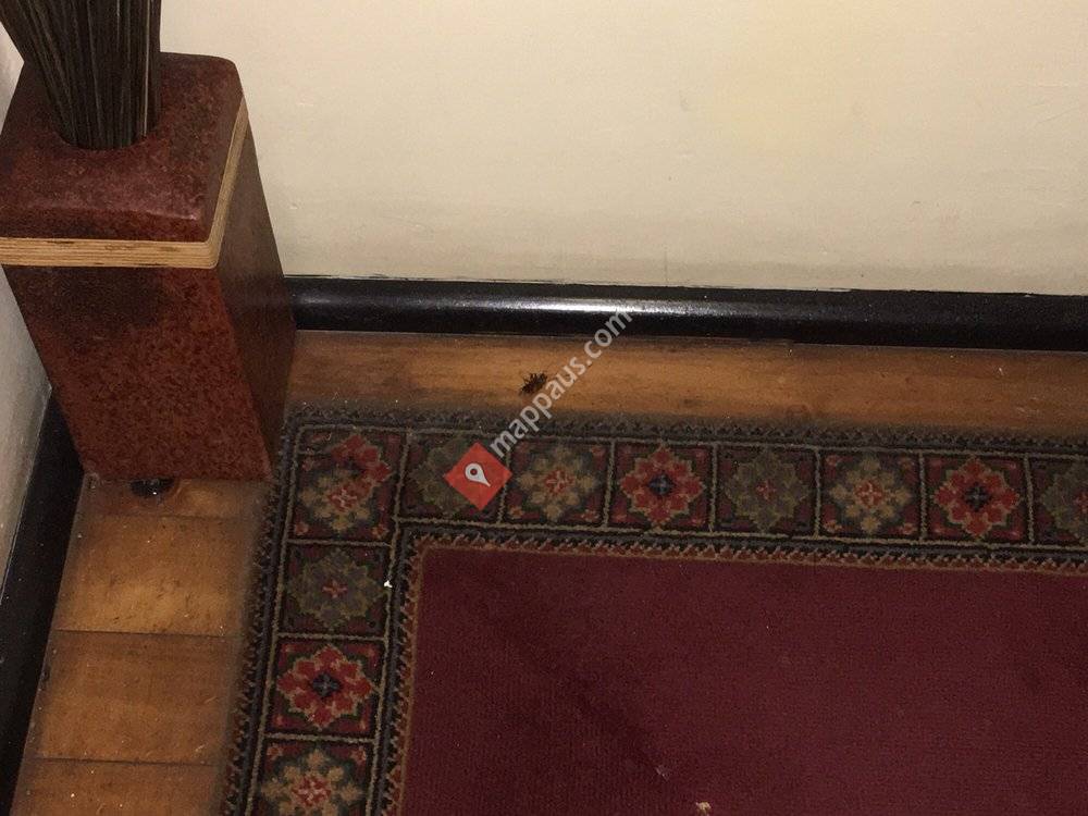 Sydney Harbour Bed & Breakfast