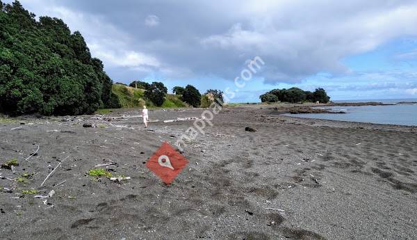 Te Kaha