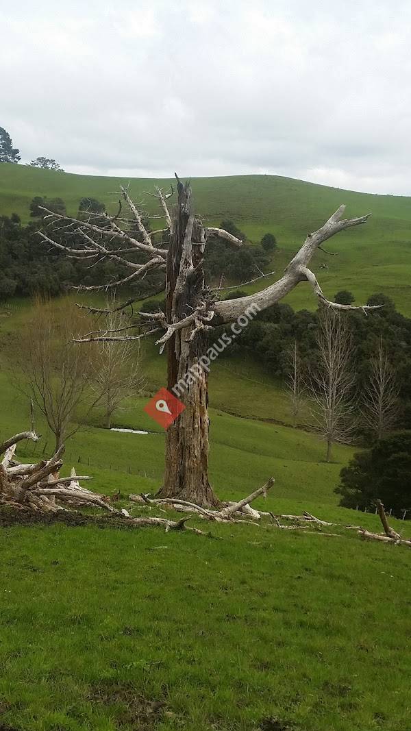 Te Kapa Cemetery