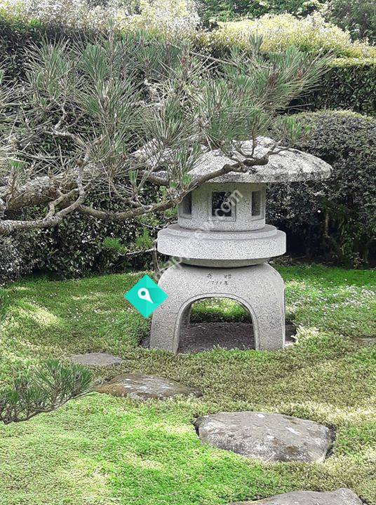 Te Miro Aikido