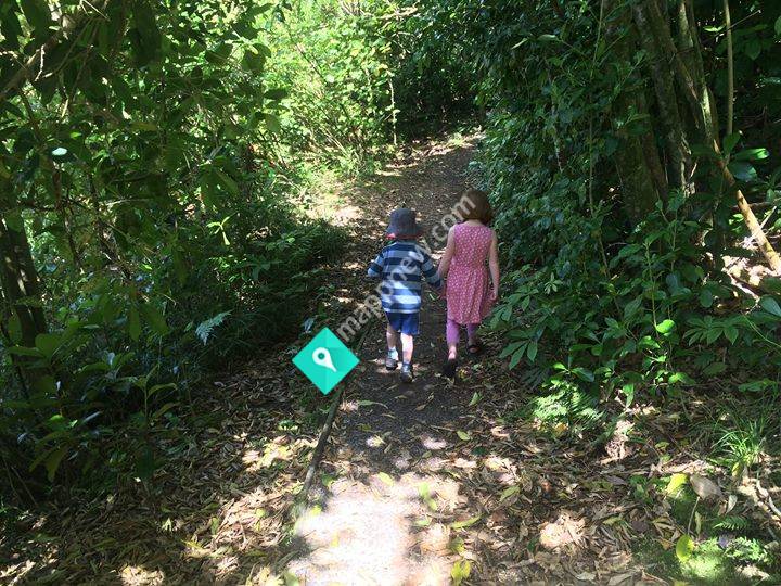 The Childrens Corner Te Rapa