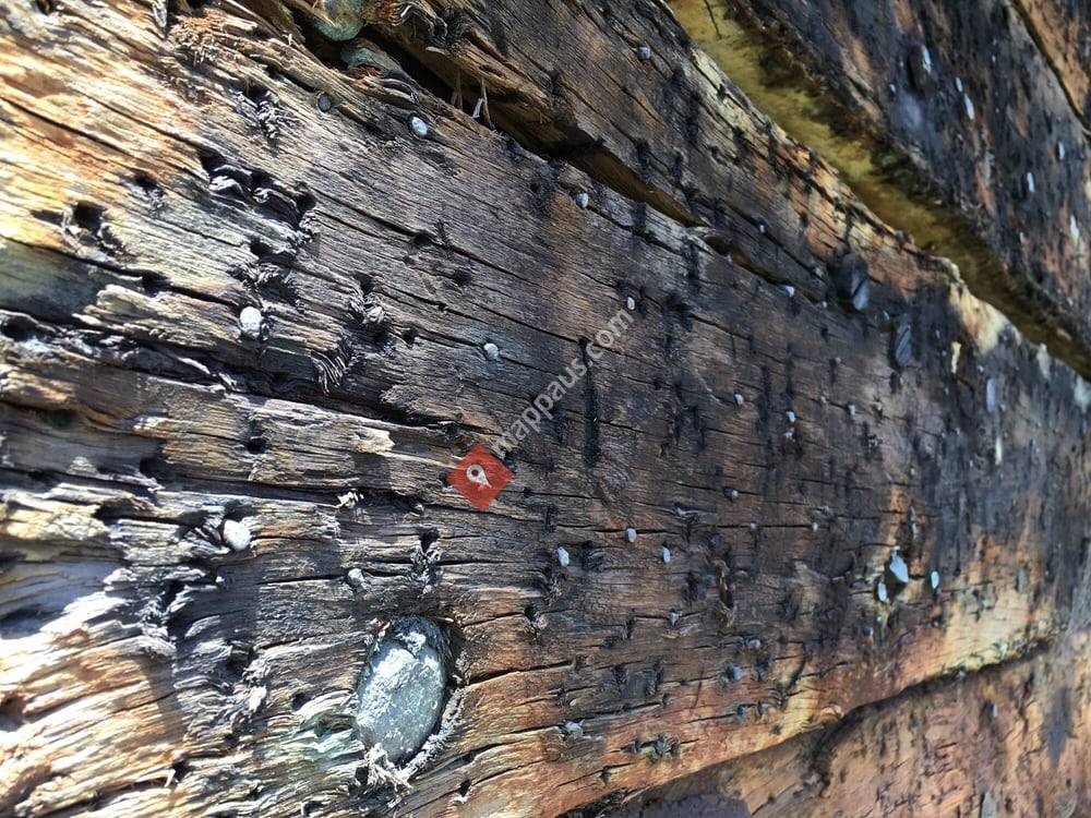 The Clipper Ship - Adelaide