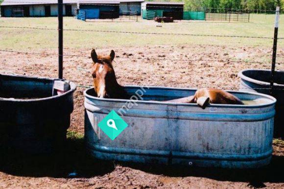 The Tack Shack