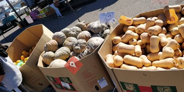 Torrens Island Market