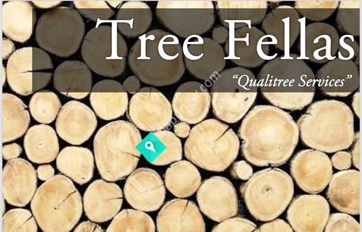 Tree Fellas