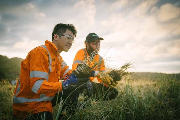 Treescape Kumeu: Northern Utilities & Environmental