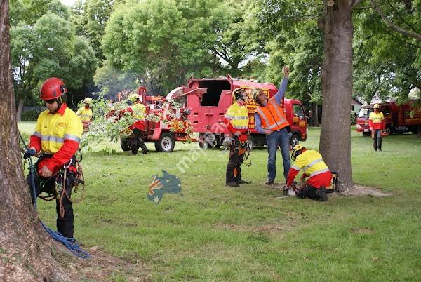 Treetech Specialist Treecare
