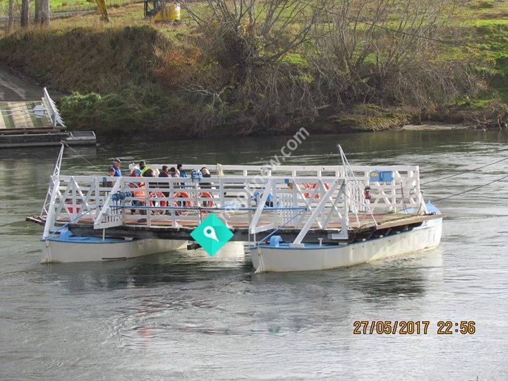 Tuapeka Ferry
