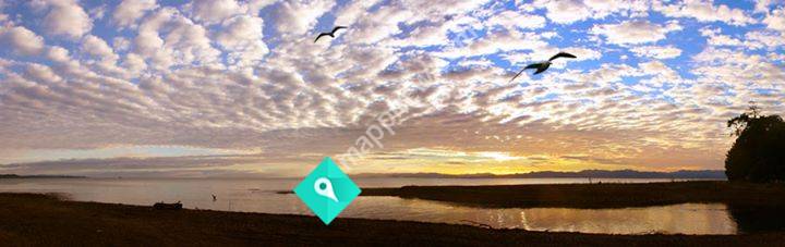 Tui Cottage