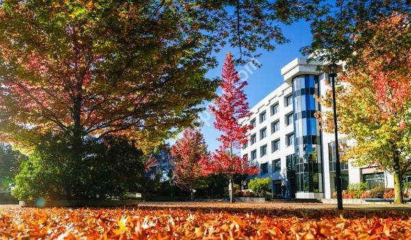 UC Business School