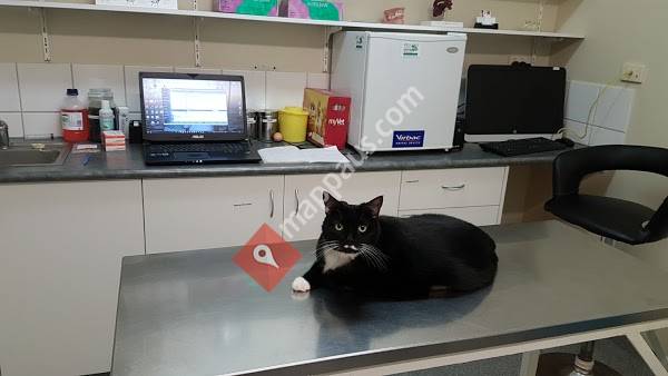 University Avenue Veterinary Hospital