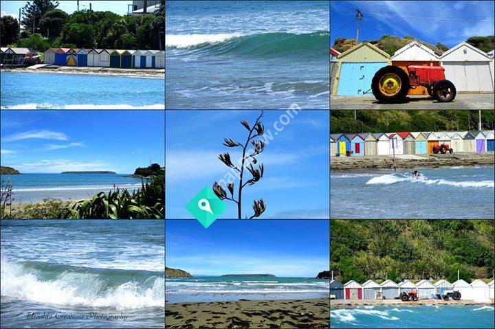 Ursula's Creations & Photography