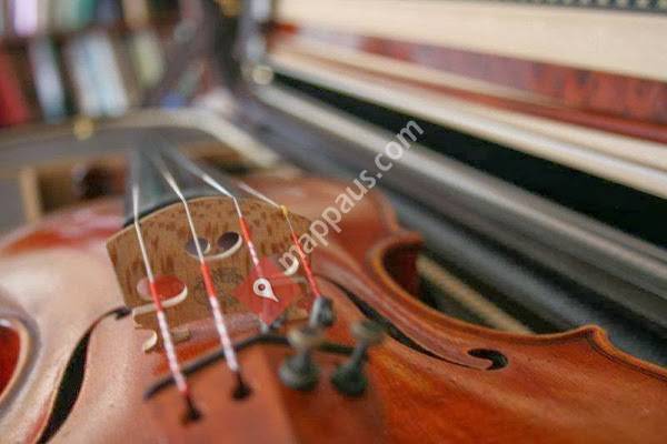 Vov Dylan - Live Music and Violin Lessons