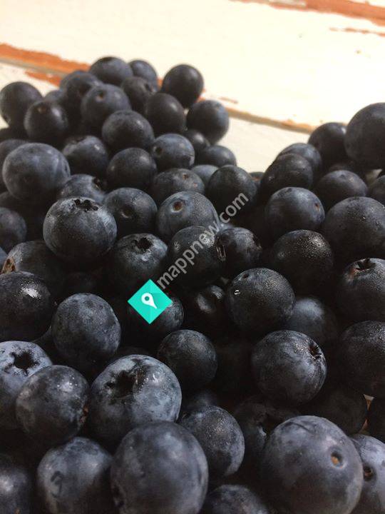 Waiari Blueberries