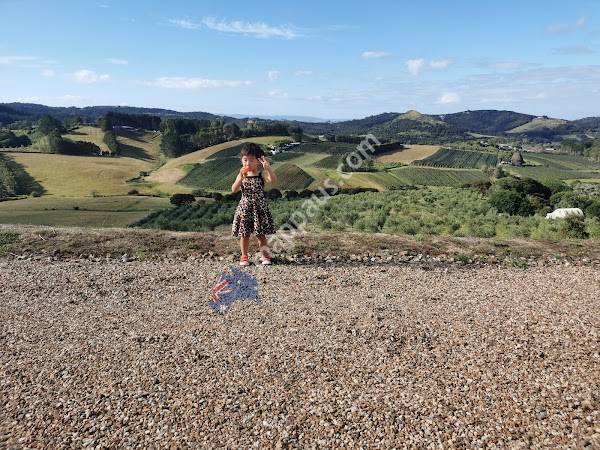 Waiheke-Tours limited