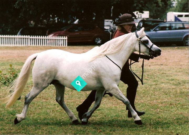 Waimai Stud