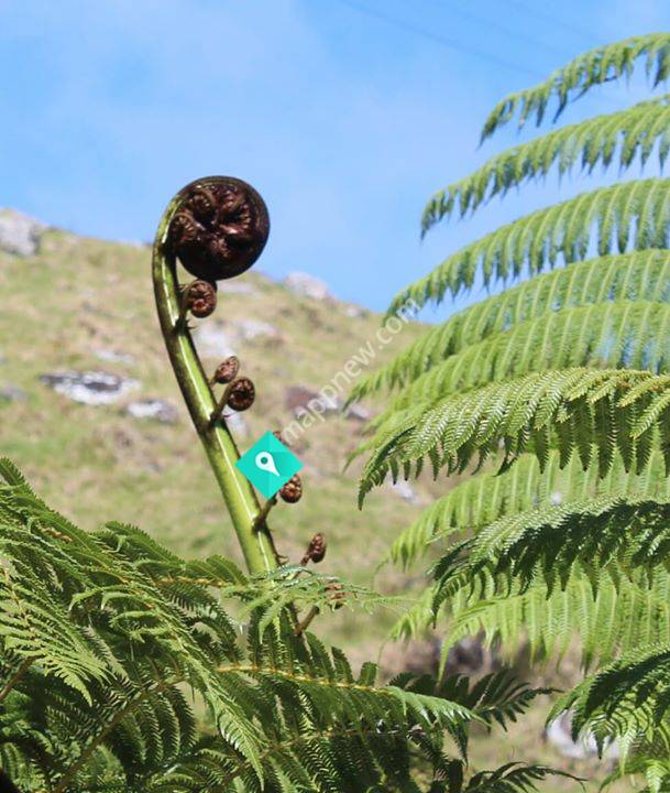 Waipapakauri Holiday Cabins