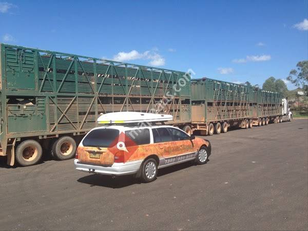 Walkabout Wagons