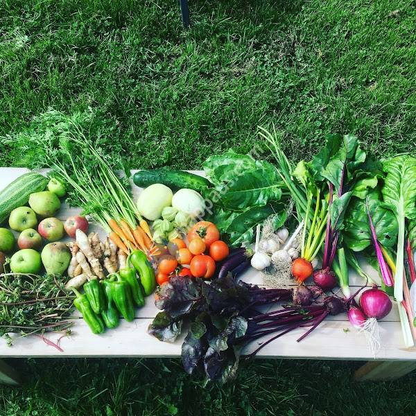 Wanaka Willows, Naturally Grown Vegetables For The Community.