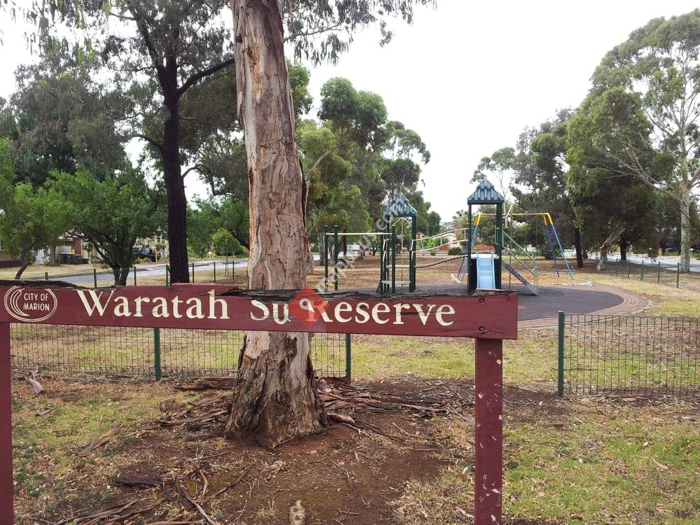 Waratah Square Reserve