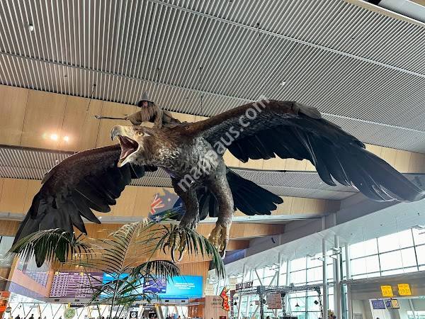Wellington Airport Parking