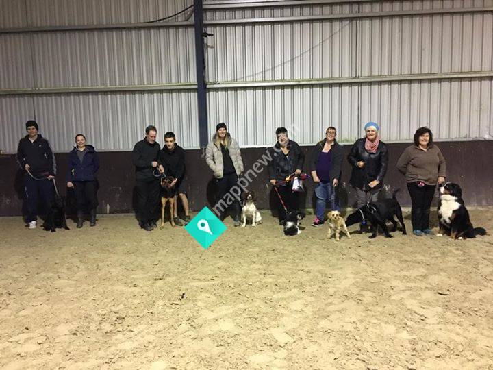 West Melton Dog Training