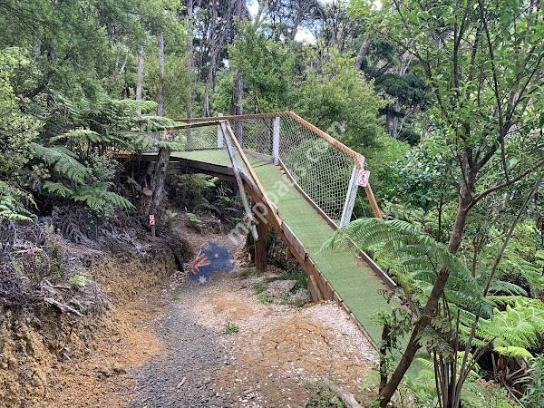 Whitianga Bike Park & Gardens