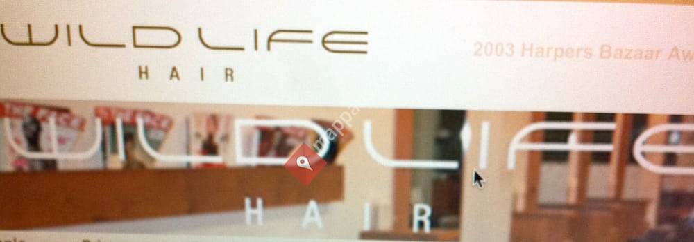 Wild Life Hair - Sogo